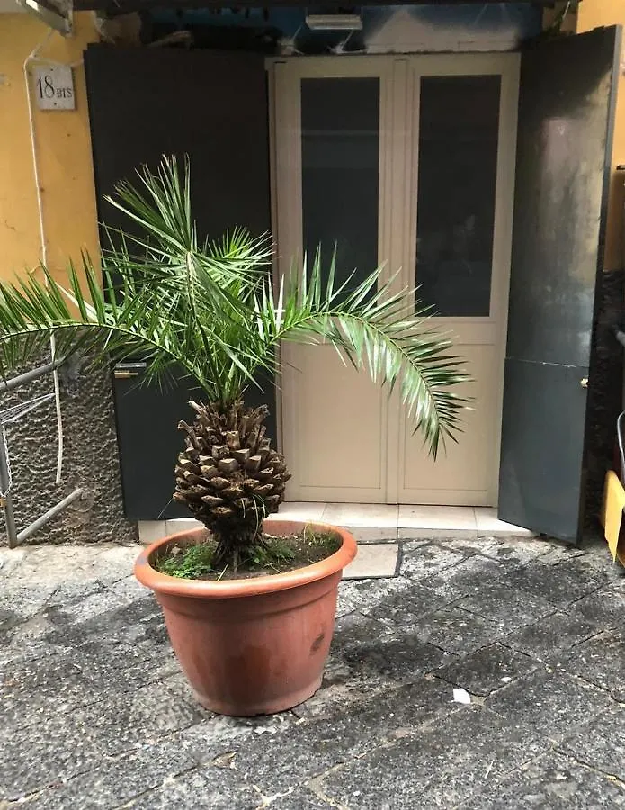 Graphite House Apartment Naples 0*,  Italy